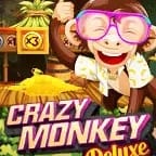 Crazy Monkey screenshot